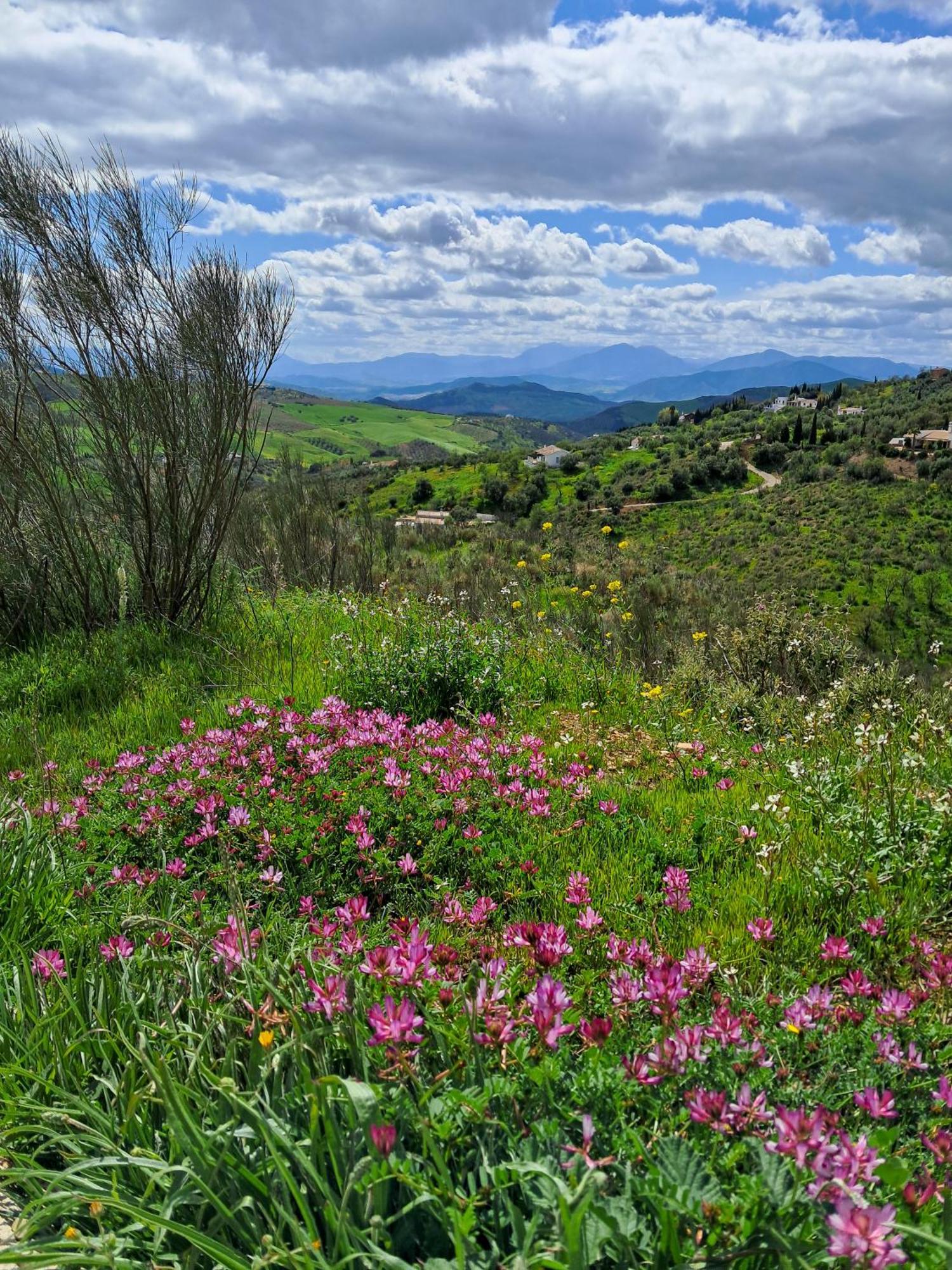 Finca Amorosa Villanueva de la Concepción Екстериор снимка